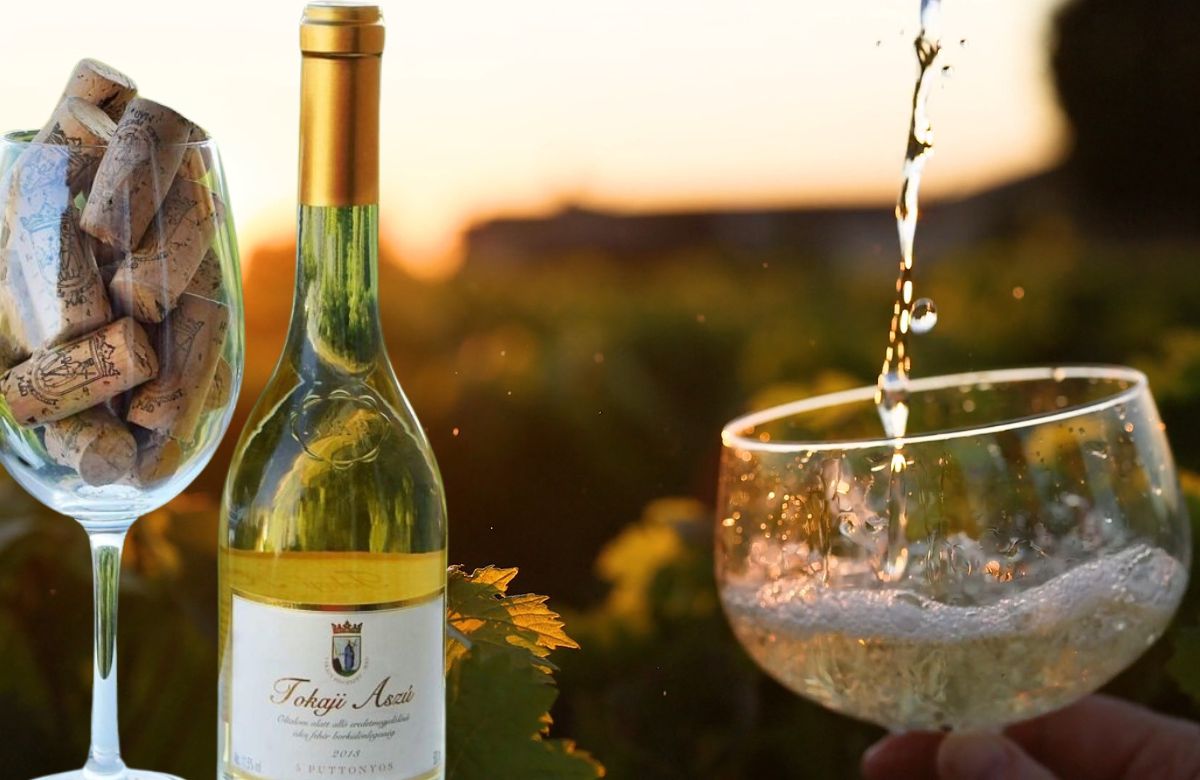 Severoistočni deo Mađarske poznat je po Tokaj vinskom regionu, prvom zvanično klasifikovanom na svetu.
